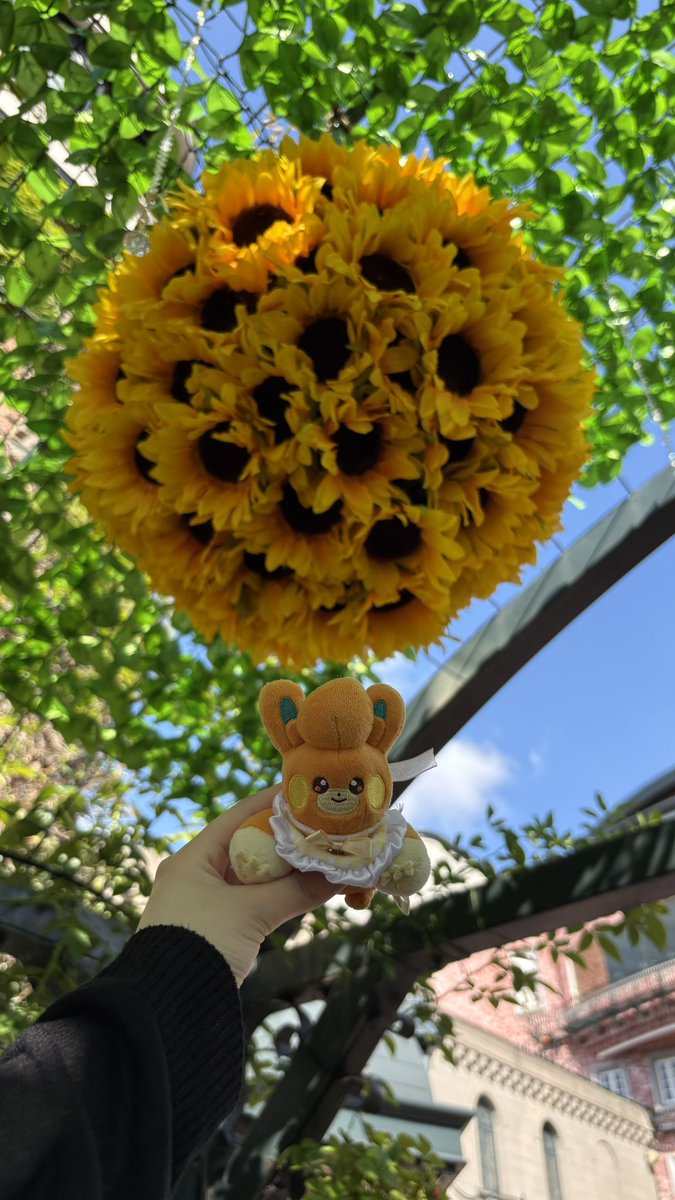 ouchidegamesuru's tweet photo. 普通に観光客になってきたよ ʕっ'^'cʔ https://t.co/tz7FN0KDLM
