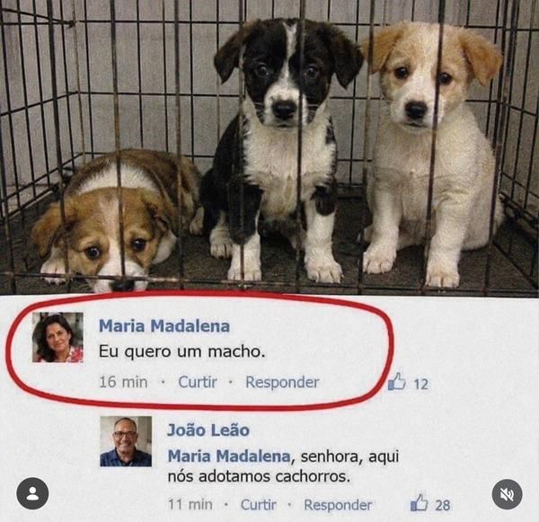memes_horriveis's tweet photo. https://t.co/wVgpK3t9sE
