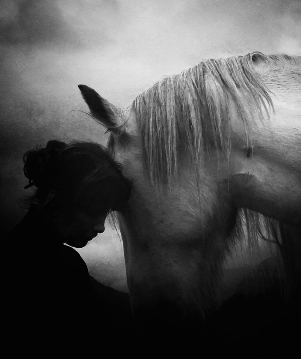 HossainNilofar's tweet photo. .
“We are hungry for tenderness,
in a world where everything abounds.”
― Alda Merini
.
Fiona Louise Larkins https://t.co/rmKZddK4lJ