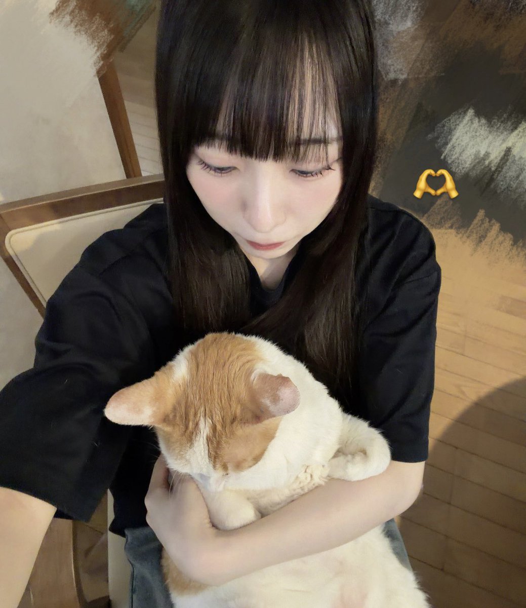 yuri_togetoge's tweet photo. 猫 https://t.co/pSOY0t7uw6