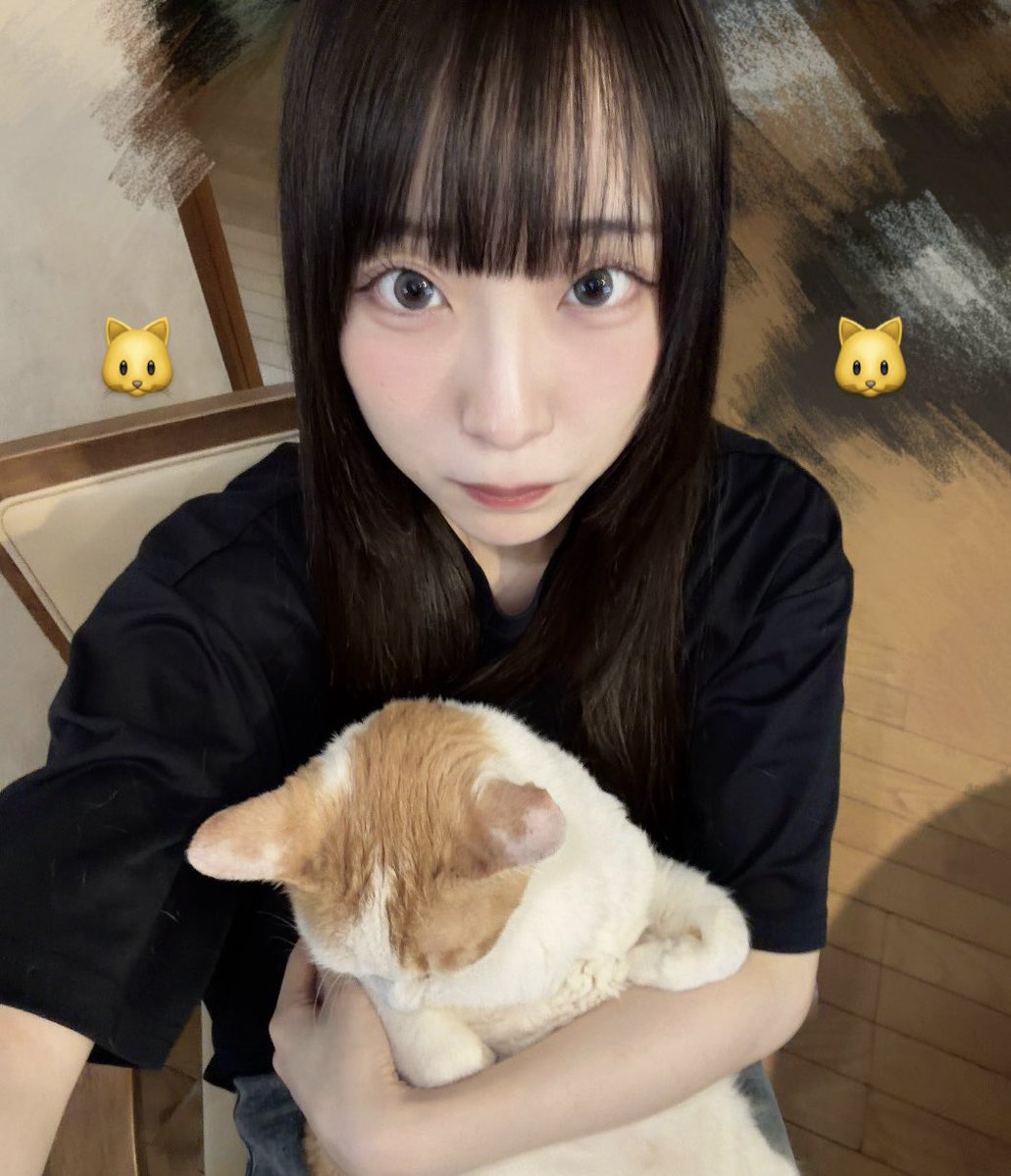 yuri_togetoge's tweet photo. 猫 https://t.co/pSOY0t7uw6