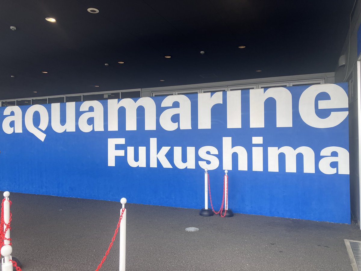 ozazakkiiii's tweet photo. 土日で予定を詰め込み過ぎた…楽しすぎた…
昨日いわきも八王子も花火大会で人やばかったし、常磐線全通遂げたし、TENDOUJI熱過ぎた。今日は高校大学時代にめっちゃ聞いてた鶴と大学時代めっちゃ聞いてたBRADIO初ライブ。想像の100倍楽しかった。FSPMPかFSMPPかFPSMPかどれかわからんけど最高過ぎた。 https://t.co/NHcrrOIu1K
