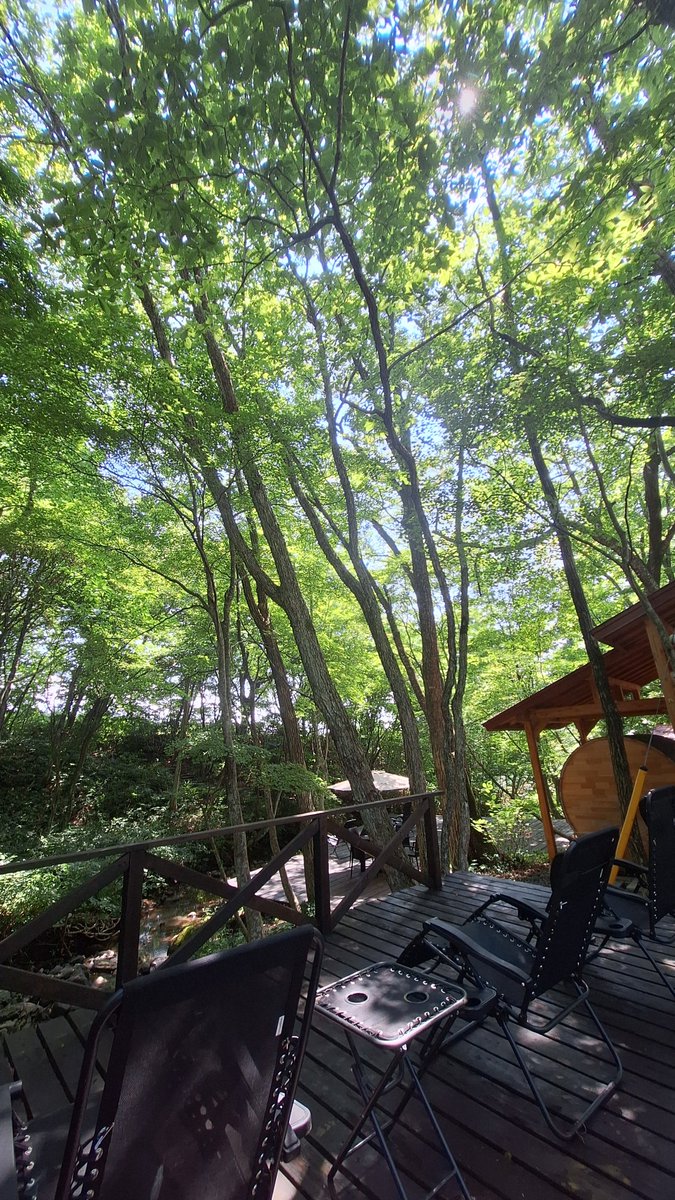 akumanomoricom's tweet photo. 2日間ご来園いただきました皆さ魔、ありがとうございました☺
楽しんでいただけましたでしょうか？🌳

本日の千途ノ川端・納涼床I&amp;IIからの景色をお届け🌿

あく魔の森公式web siteの園内MAPも見てみてくださいね😈

https://t.co/ain5idSbM9

また皆さ魔に会えるのを楽しみにしておりますー！ https://t.co/kzJueI5h3w