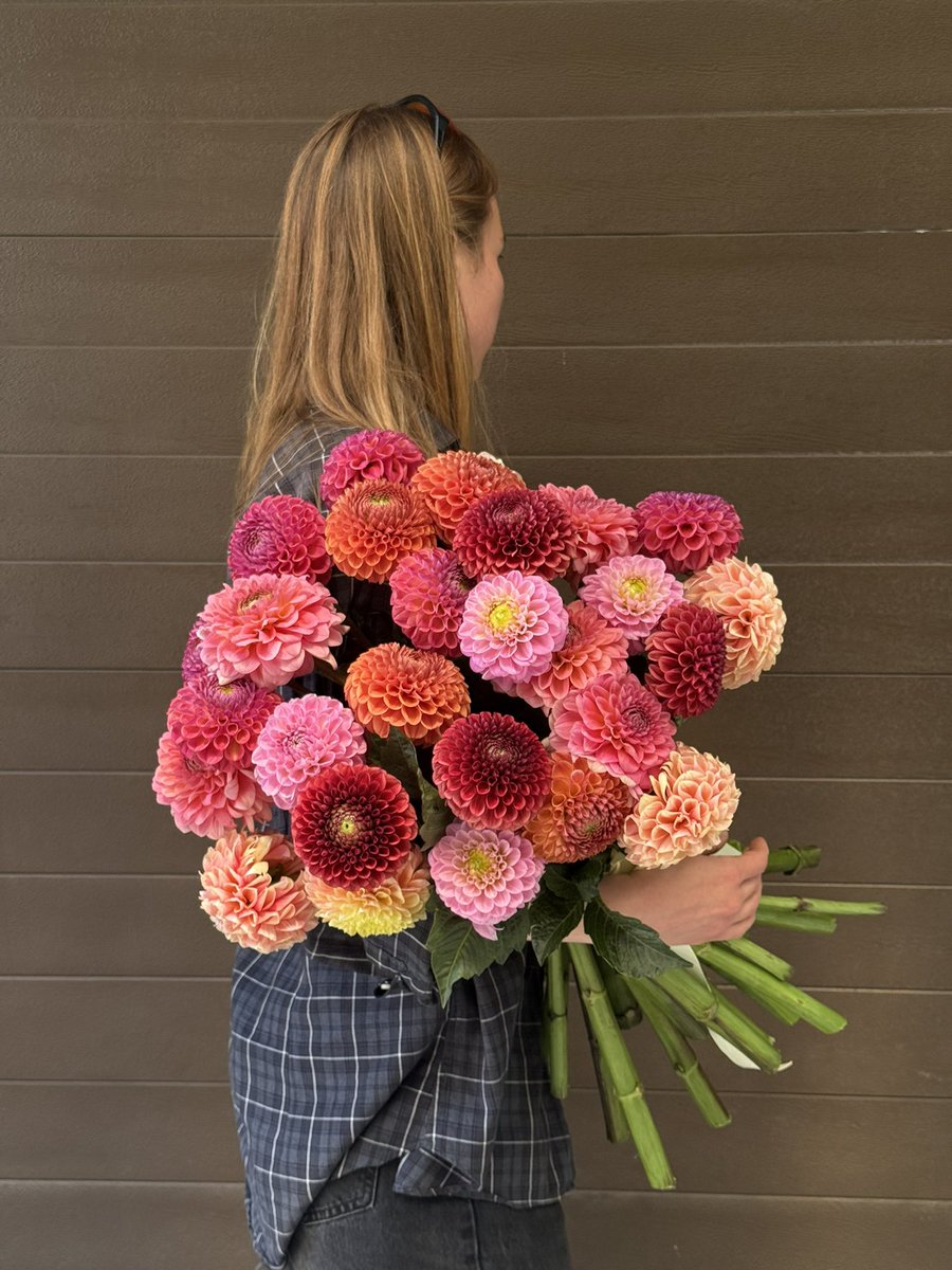 dashadasha9590's tweet photo. а це букет з тридцять однієї жоржини 🥹 https://t.co/iocWE1bJGE