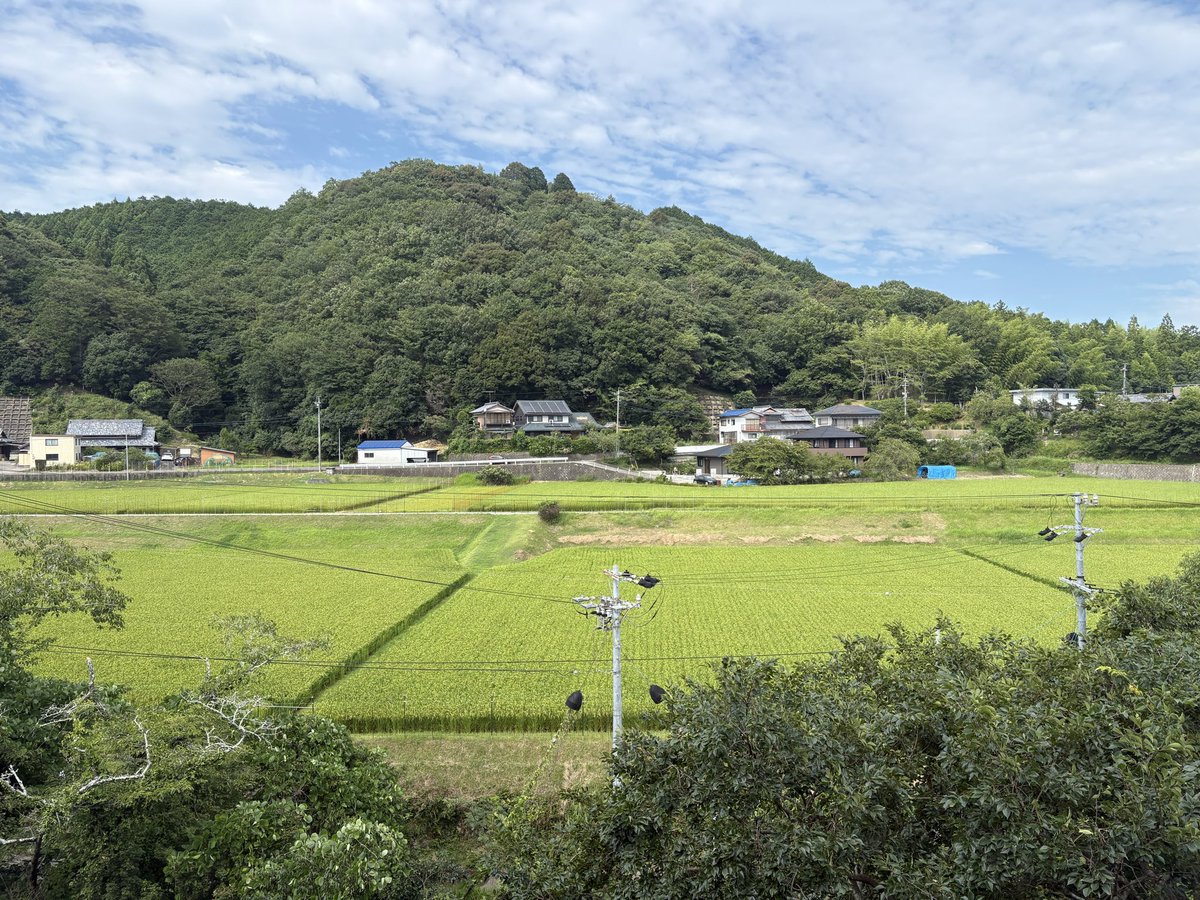 sougeba's tweet photo. 週末は榊原温泉へ♨️

『枕草子』で有馬、玉造に並ぶ三名泉に挙げられた「七栗の湯」とされる。

源泉が30℃くらいなので、そちらで涼むが、���つもより温い気がする。 https://t.co/K8EdxUalM9