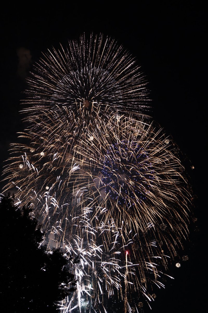 pekapeka_bot's tweet photo. #いたばし花火写真2026 https://t.co/r7h75lalK1