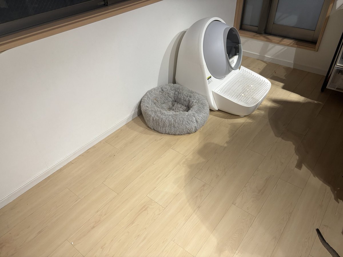 Koo_RevNuit's tweet photo. 殺風景なこの部屋を近々ワンコ部屋に変身させます🔥 https://t.co/JPeJ5oMNE7