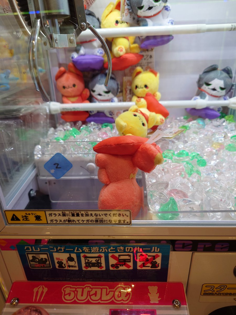 kazuki_mn's tweet photo. ベニが思ったより耐久力高くて思わず写真撮っちゃったwwwww

#かみさまキツネとサラリーマン https://t.co/yX4vo77HOx