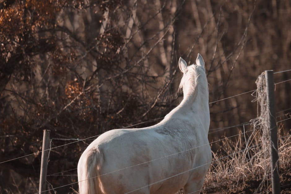 ShepherdRe89868's tweet photo. كانت إرشادك نعمة شكرا يا أخي. والرسوم الادخار. الصور البيانية مفيدة للغاية. brittney bertsch😒 https://t.co/arKQ3xUZgK