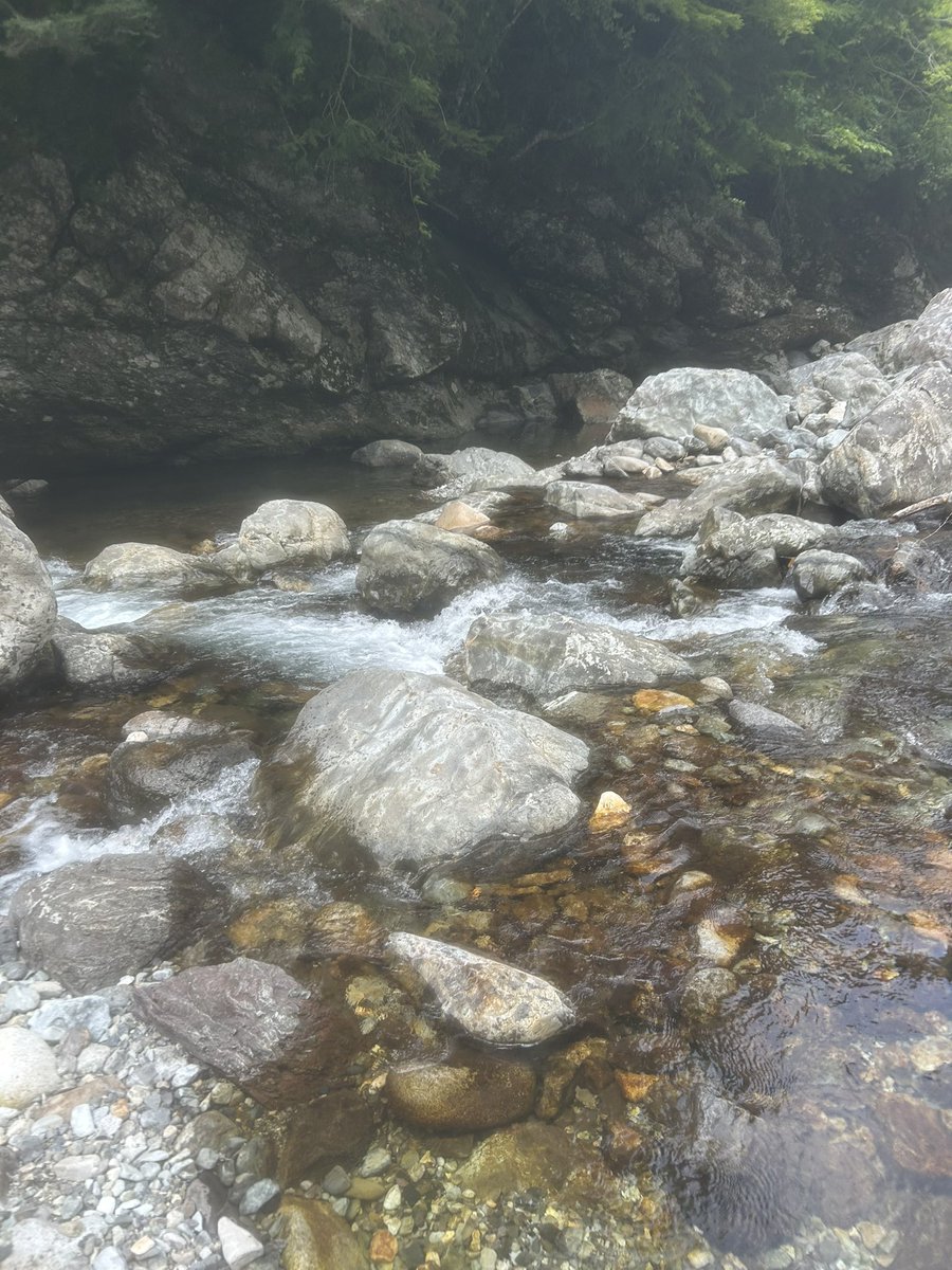 kdash05401035's tweet photo. 夏らしいことが出来て、大満足でした！ https://t.co/2bOxtbzv4N
