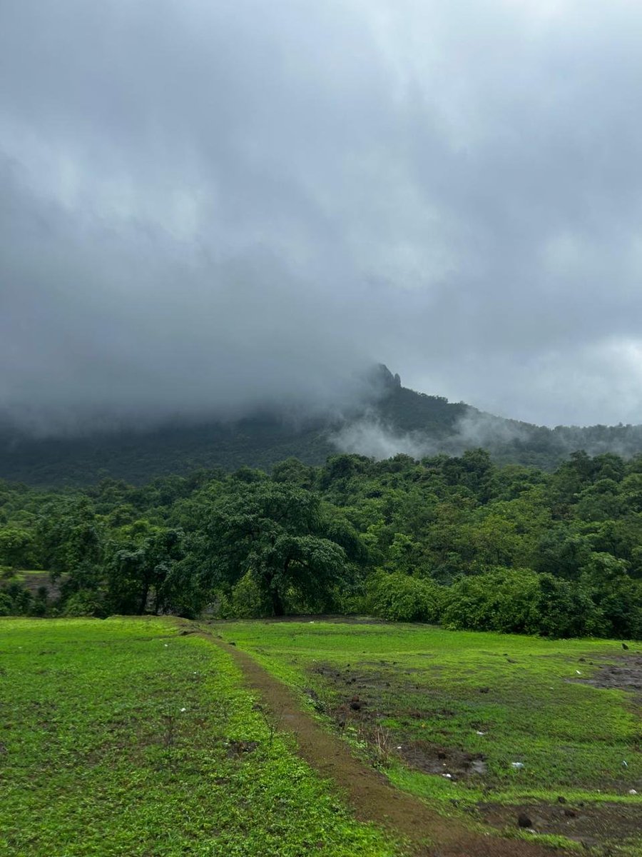 Smylingassasin's tweet photo. Every monsoon I plan.. then the Sahyadri calls. Lush hills, hidden waterfalls, and that fresh earth smell after the rain. Paradise doesn’t even cover it. 🌿☔

Maharashtra  is blessed. https://t.co/kacBobxcFx
