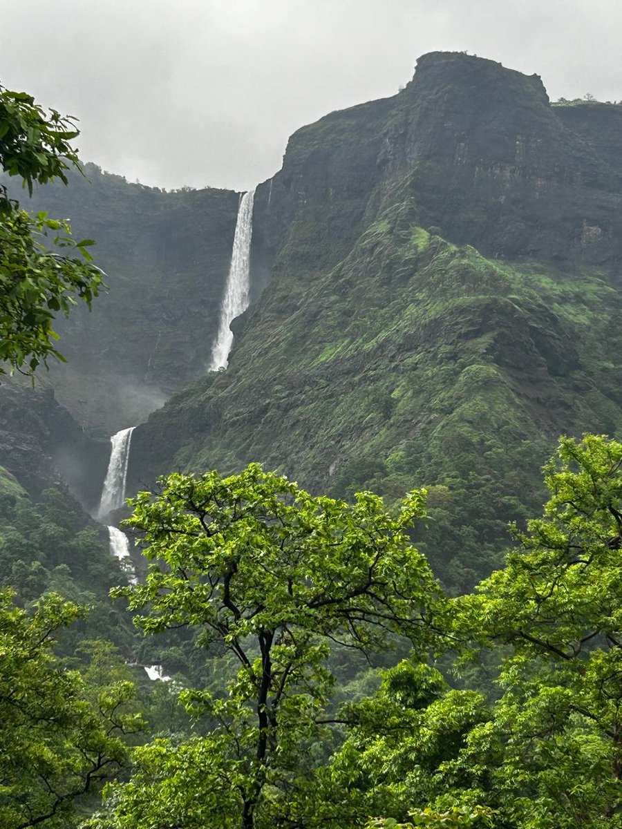 Smylingassasin's tweet photo. Every monsoon I plan.. then the Sahyadri calls. Lush hills, hidden waterfalls, and that fresh earth smell after the rain. Paradise doesn’t even cover it. 🌿☔

Maharashtra  is blessed. https://t.co/kacBobxcFx