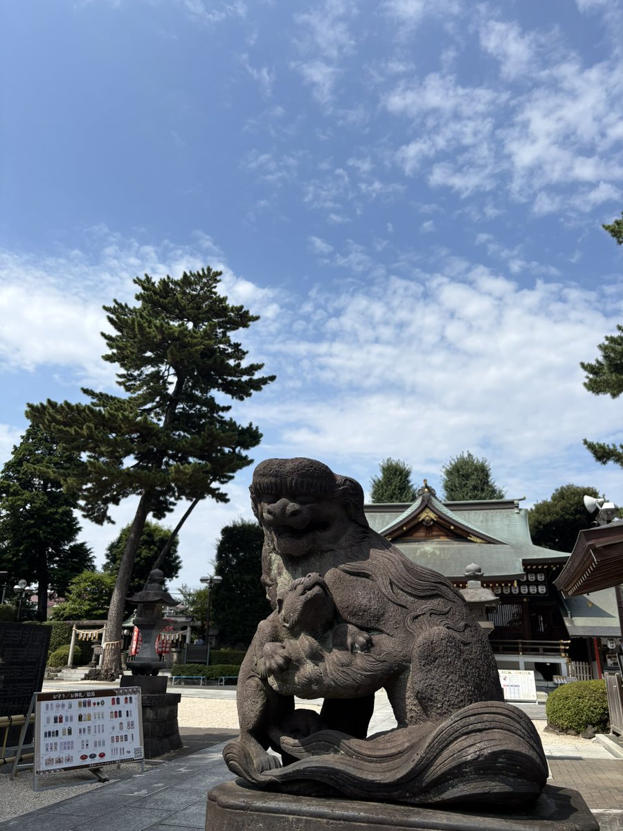 RMatufuji's tweet photo. 沼袋氷川神社に伺いました⛩️
いつきても気持ちの良い空模様
月替りと俳句の御朱印を頂きました
ひまわり🌻が夏を感じさせます https://t.co/FOaoVOKcIw