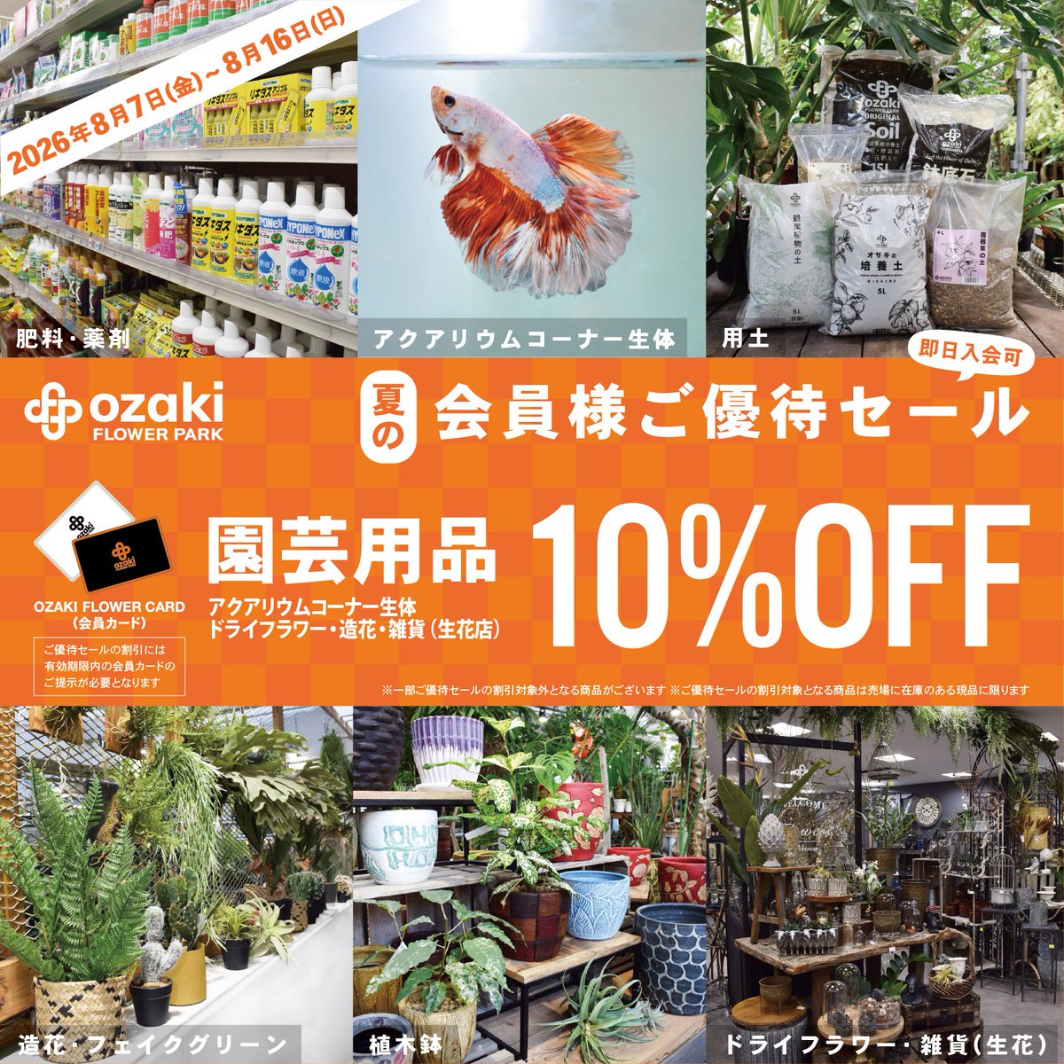 【さきか様ご購入待ち】 夏の会員様ご優待セール🍉／ 期間中、有効期限内の会員カード（オザキ