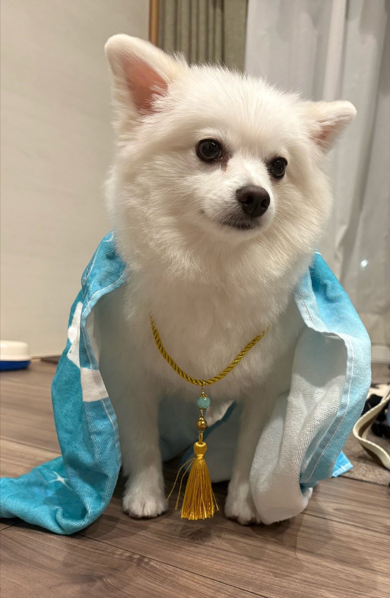 12sina2's tweet photo. かわいいからみて https://t.co/WQIji5Jrci