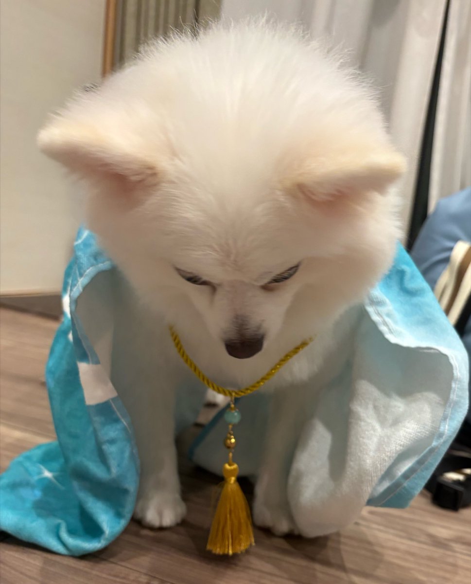 12sina2's tweet photo. かわいいからみて https://t.co/WQIji5Jrci