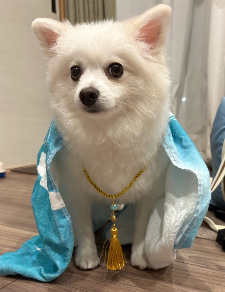 12sina2's tweet photo. かわいいからみて https://t.co/WQIji5Jrci