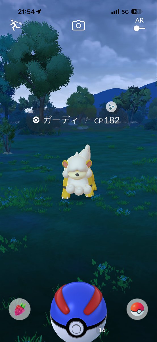 fsports_p's tweet photo. 光るわんこ！！ https://t.co/H0fOJzxTRR