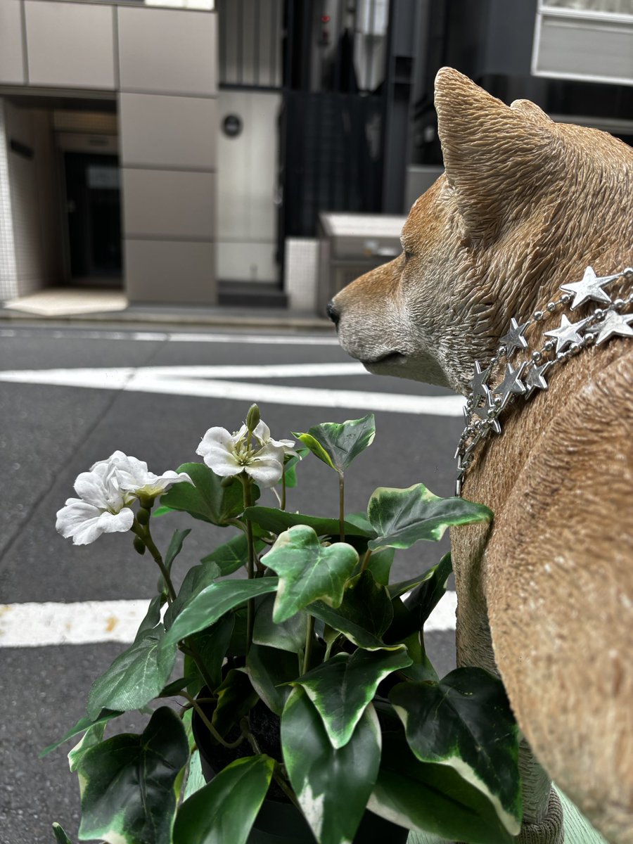 Bloom_nine's tweet photo. よきライブでした https://t.co/Eod3KzHVbW