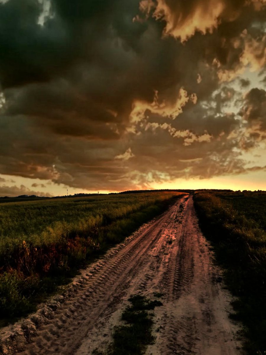 TalithaNaezd's tweet photo. sometimes it feels like the path changes direction right when i find my stride. do you find comfort in the unexpected, or is it just tiring? https://t.co/VcQOt1Oc9N