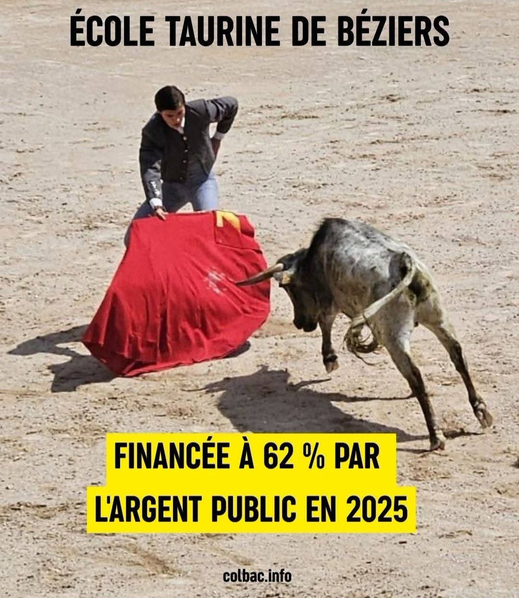 lcensur's tweet photo. C'est curieux, les chasseurs de dépenses superflues de l'argent public et de l'assistanat, ne pensent jamais à aller chercher les économies là où elles sont les plus évidentes à trouver et les plus consensuelles.
Peur de fâcher les lobbies ? 🤔
#Wauquiez #Attal #Lecornu #Corrida https://t.co/SkJ04CKB06