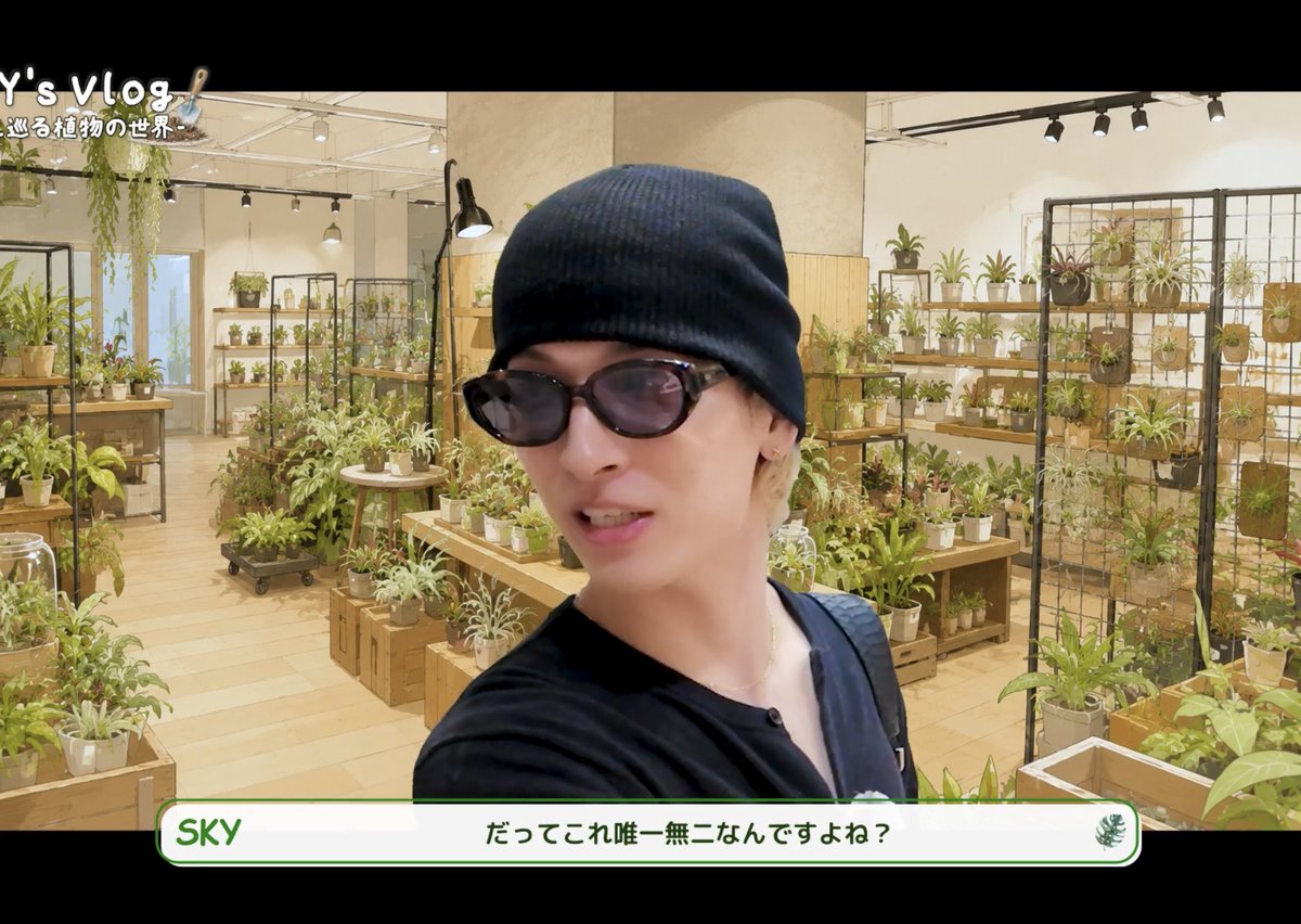 pantsu0729's tweet photo. たまたま出会った初販売のシルキーミストという27万5000円の植物を"唯一無二"という理由で即買いする碧海さん(貯金25円がよぎるて) https://t.co/8rLLN9UkKq