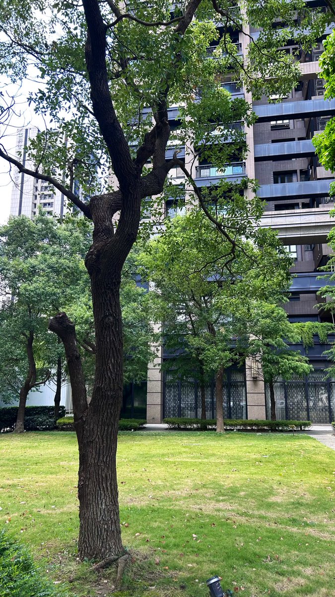 aisman6's tweet photo. Primeras impresiones de Taiwán 🇹🇼 

¡Esto es hermoso! @TW_Paraguay ❤️😎 https://t.co/LCTG6h6nwC