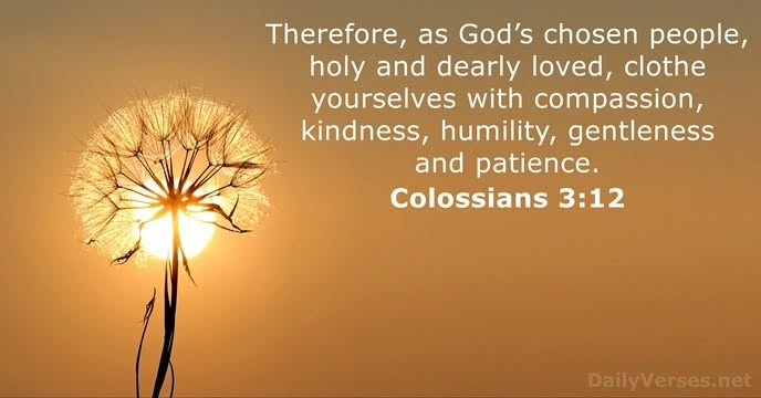Bernadette99797's tweet photo. Trust JESUS
#DailyBibleVerse #JesusisGod #Jesusiscomingback
Good morning Trumplicans:) Here's hoping you have a sweet and special Sunday:)👼🩷🩶🩵 https://t.co/WKeo6dbRSv