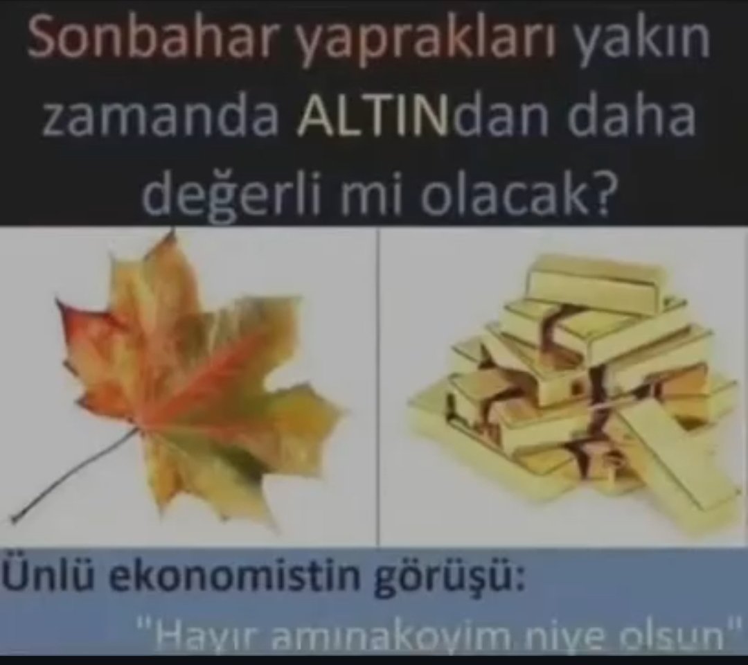 gurusuruzz's tweet photo. @kurgusalbiriyim HAYIR https://t.co/eF6elx4cr9