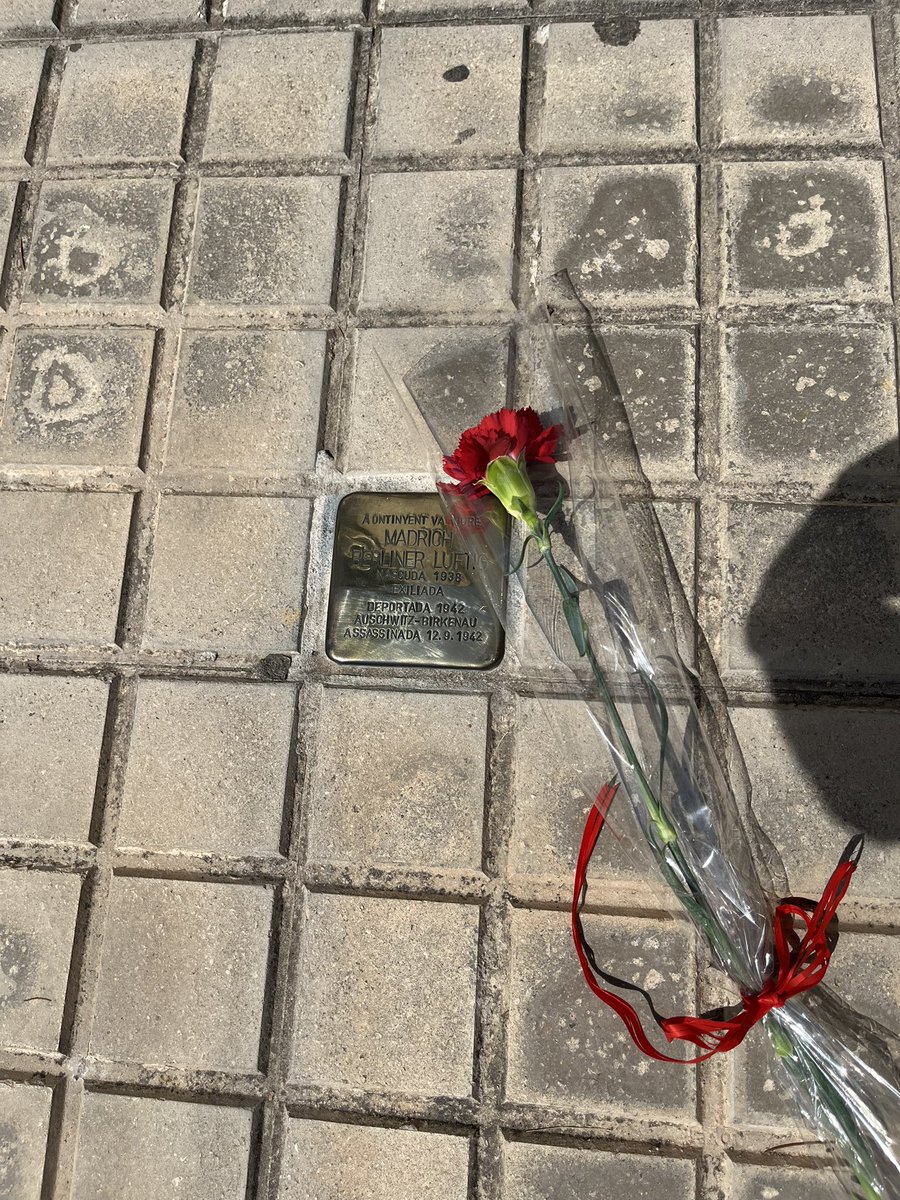 torromartinezj's tweet photo. Hui, 2 d’agost, Madrich Berliner hauria complit 88 anys.

Va nàixer a Ontinyent

Cada aniversari que no va poder celebrar és una invitació a recordar-la. 
Madrich Berliner (1938–1942). Que el teu nom mai no caiga en l’oblit. https://t.co/AFfWoKHQIJ