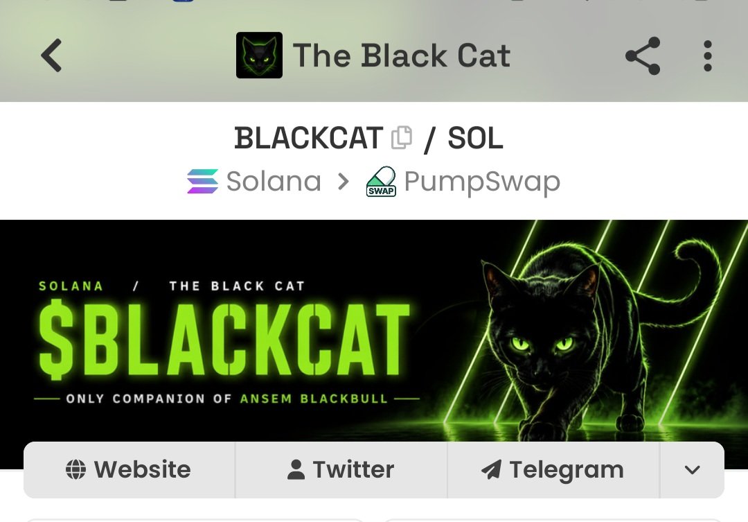 BLACKCATPUMP's tweet photo. Fresh DEX banner is now live.
$BLACKCAT keeps evolving.
We build. We improve. We don't stop.

FLGf6NvZ5trS2eebzwhYyatHZxat4XKwBaFdXiT7pump https://t.co/vhFHuVbPwm