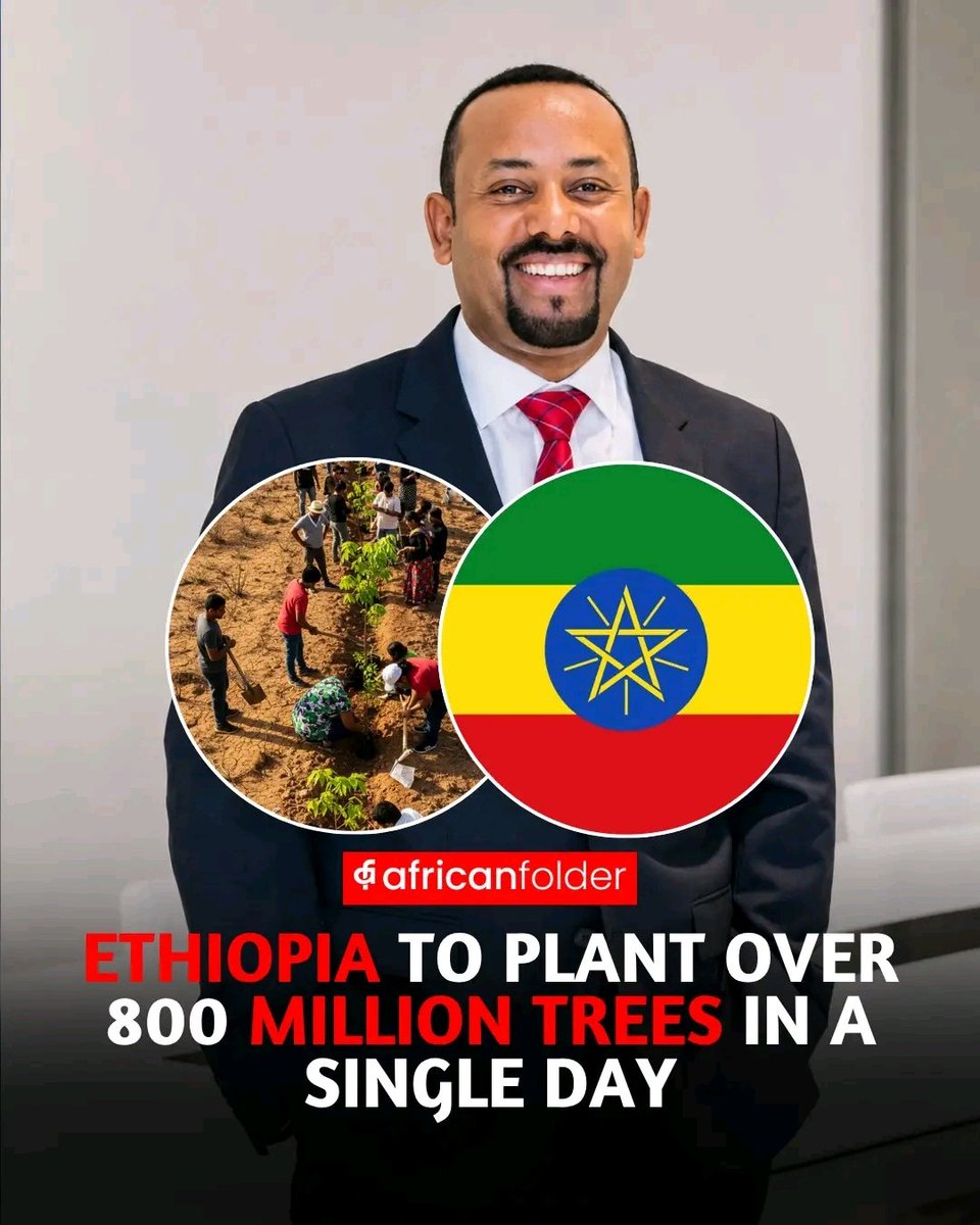 bunobedele2's tweet photo. Ethiopia is set to plant over 800 million trees in a single day, aiming to break its own world record for the largest mass tree-planting effort ever staged. https://t.co/MfvFoNPpPN