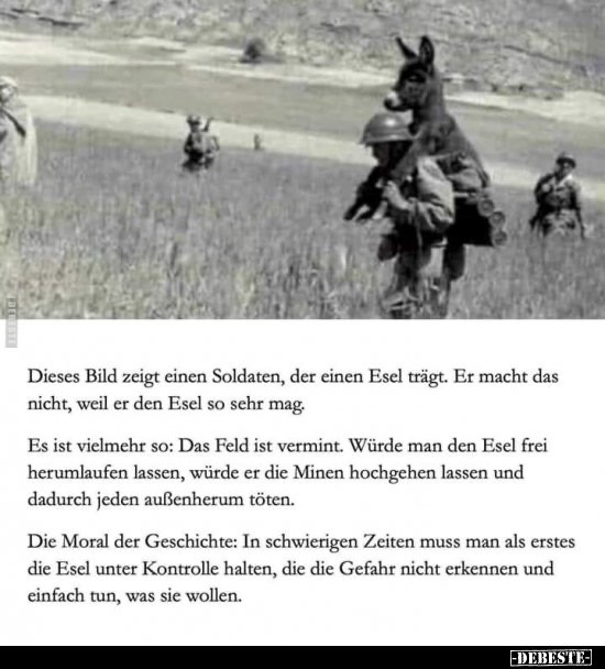 fragmentiert's tweet photo. „Die #Moral der #Geschichte: 
In #schwierig*en #Zeiten muss man als erstes die #Esel unter #Kontrolle halten, die die #Gefahr nicht erkennen u. einfach tun, was sie wollen.“ https://t.co/QWcv7RO2cD
