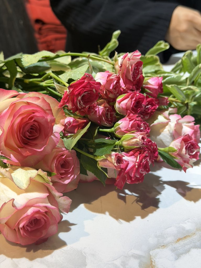 onlybyrawan's tweet photo. حُبك للورد دليل قاطع بأنكِ الربيع 💕✨. https://t.co/WOyOiYRcvO