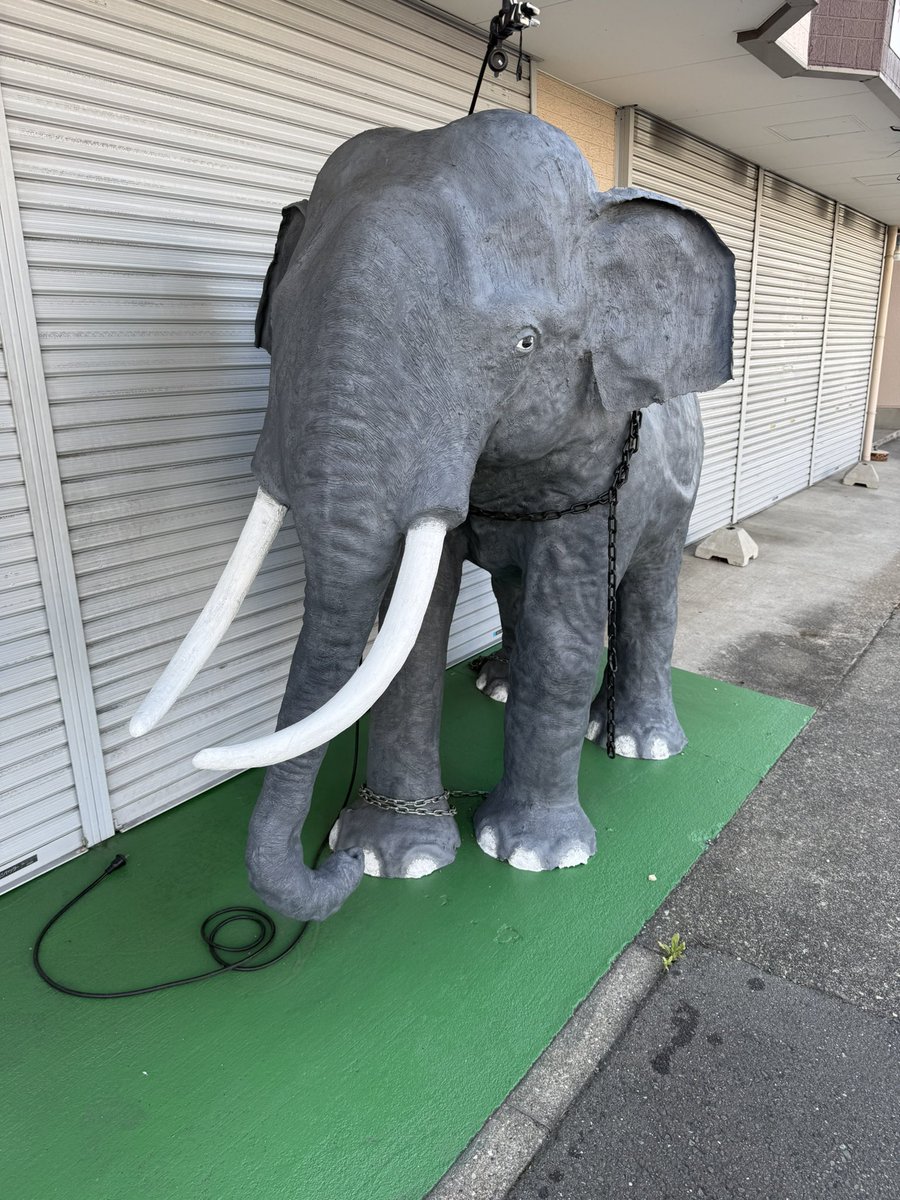 HK794710's tweet photo. 像みっけ笑 https://t.co/zcTasFc4x1