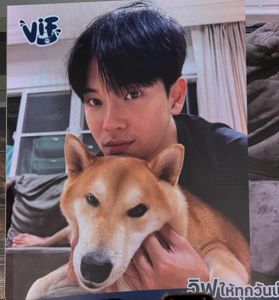 WeWarYin's tweet photo. รูปซีเคร็ทของป๊ากับลูก 🥹🫳🏻

VIF X YINWAR ZUSAM 
#VIFxYWZSPetexpo https://t.co/IaedfRPy9k