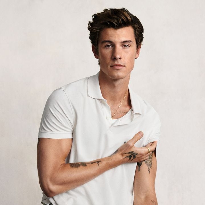 PopTingz's tweet photo. Happy 28th birthday to the talented Shawn Mendes. https://t.co/mvhvj8BJi4
