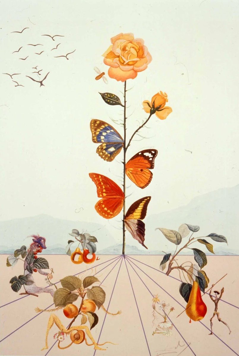 chaoswintour's tweet photo. Salvador Dali’s Flower Paintings https://t.co/vKqqEigf1Q