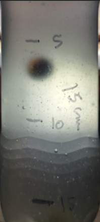 anrep3d's tweet photo. A long post about my history and current experience with #viscosity. Yet it's only a precursor to the real set of experiments with clay! https://t.co/VECWotNHSl https://t.co/lQYJxHLa6O