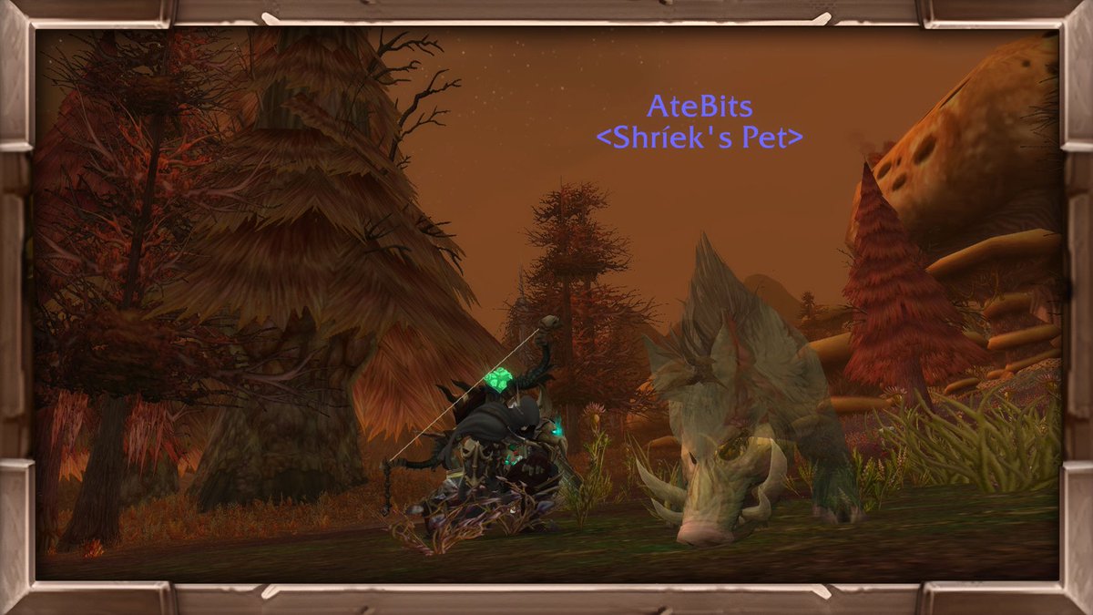 PRENDERxGEIST's tweet photo. When I say I literally sat my my hunter where Varah spawns in and waited till 5 AM to tame it, I mean every word 🐷

AteBits, named after my late desk cat, 8-Bit, I wanted to give my old chonky cat a rare model because she deserves it 🫀

(Ty @Mrs_Hyperion For Showing Me!) https://t.co/ey9jYhLNhq