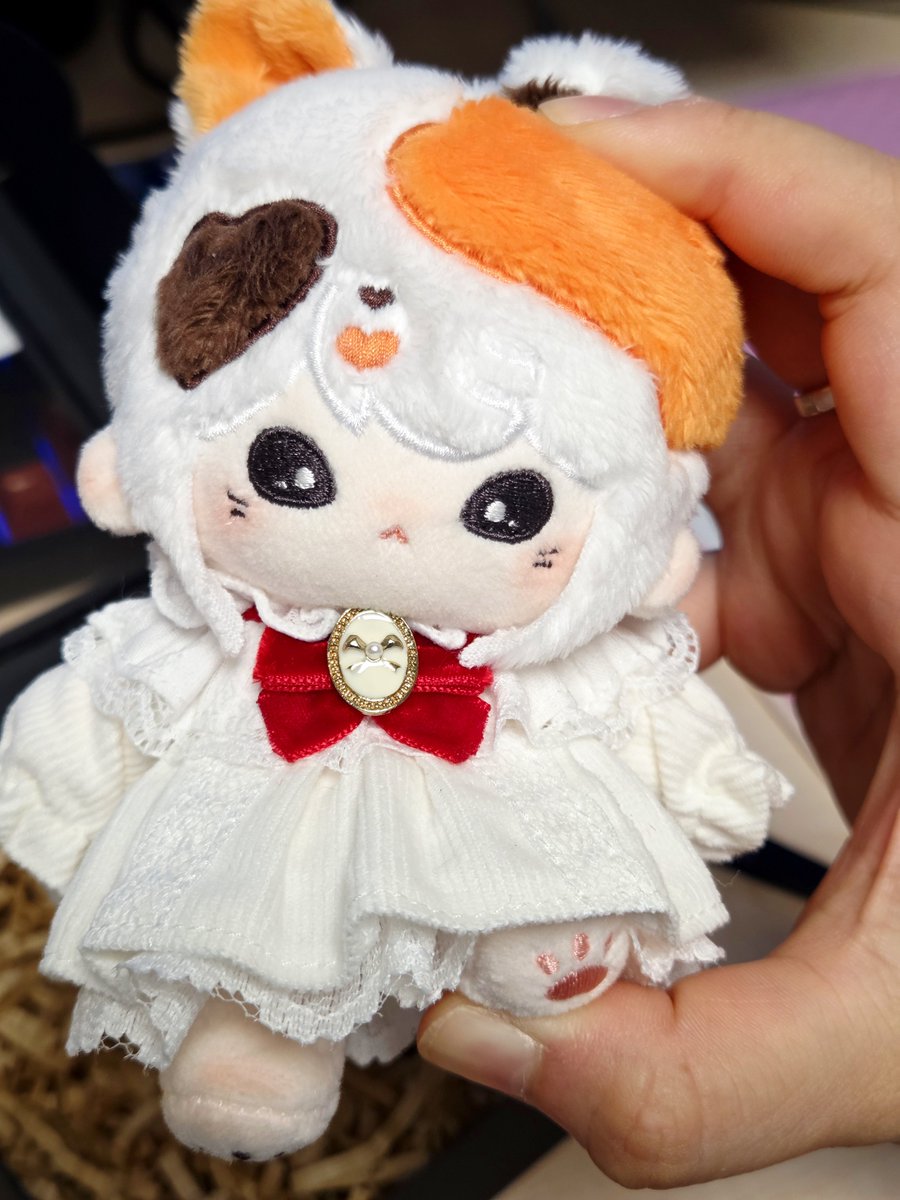 Nni_Chuchu's tweet photo. 삼색냥🤎🖤🤍 https://t.co/t9sjq8R05a
