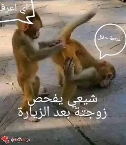LahibiAl57425's tweet photo. @inpic0 https://t.co/8SqYy2Yz7Y