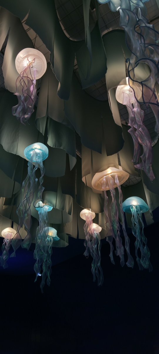 Eryth_Studio's tweet photo. Electric Jellyfish Canopyr 🌊 https://t.co/pyHzCOr4iP