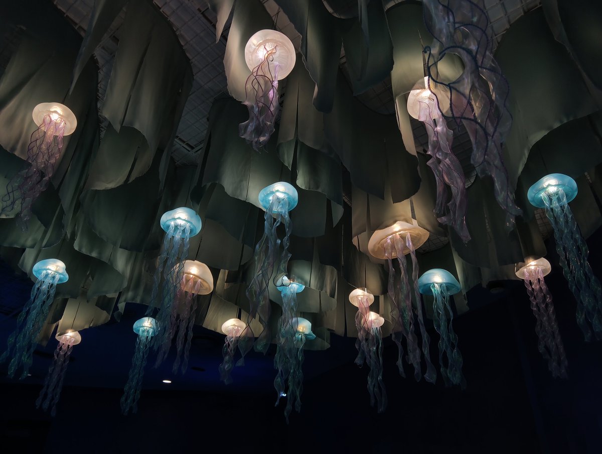 Eryth_Studio's tweet photo. Electric Jellyfish Canopyr 🌊 https://t.co/pyHzCOr4iP