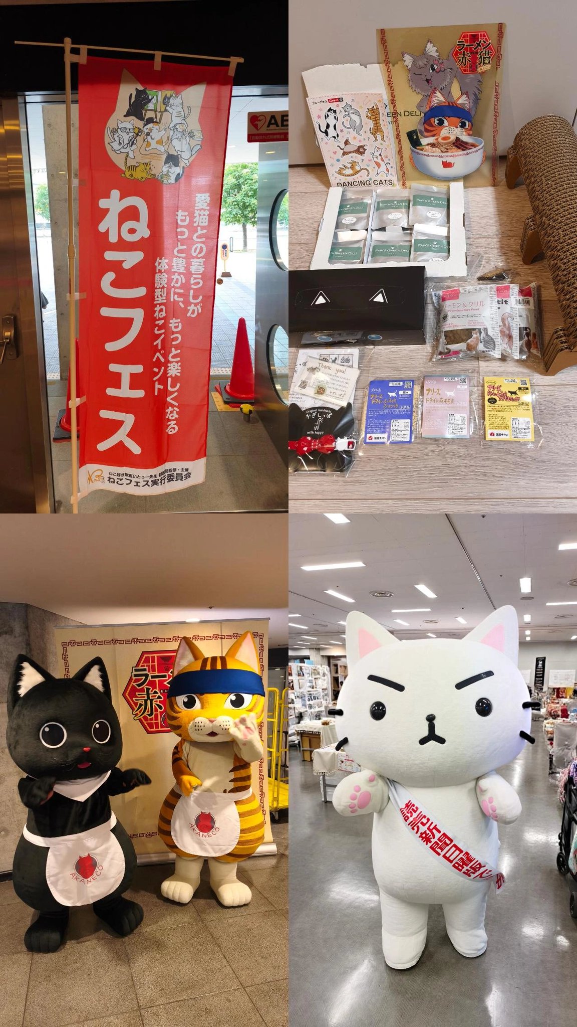 ねこあつまる様　確認用 あつまる@韓国薬局オタク(7/4～猫生活) on X: 