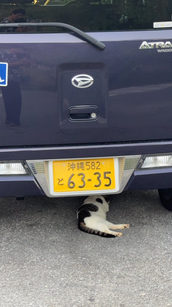 cosmogsx1's tweet photo. 一日が終わるな？ https://t.co/bqxPU9viVG