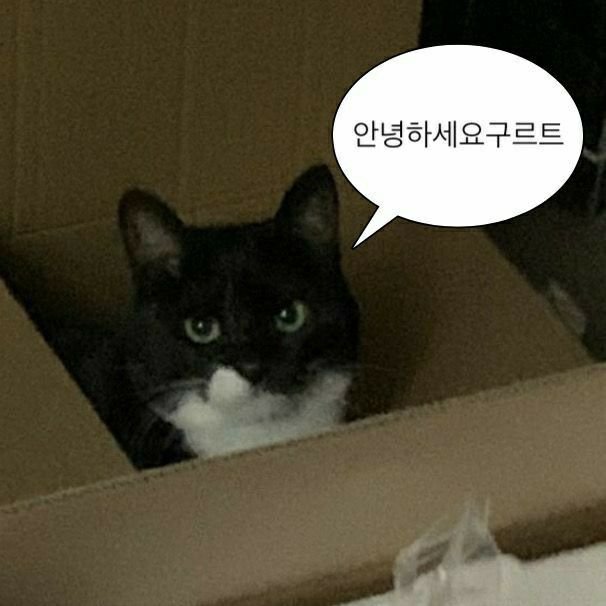 socks_are_wet2's tweet photo. 08남 아무나 환영하지만 지뢰는 알아서 걸러요
#일상계_𝕏친소 #일상계𝕏친소 #트친소_𝕏친소 https://t.co/e3Kp5XqMuK