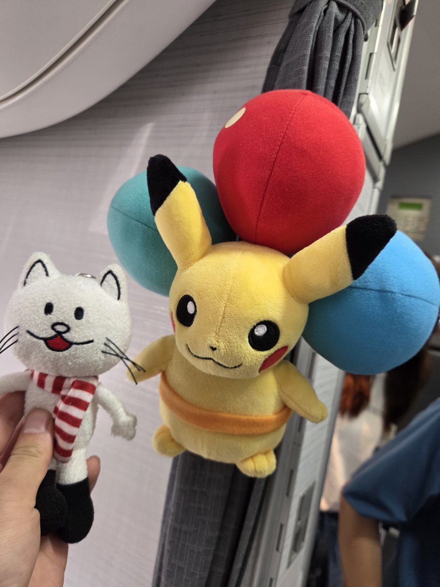 bump_syo's tweet photo. 福岡からの帰りの便、まさかのピカチュウ号で幸🥰
ニコル、ピカチュウとの邂逅 https://t.co/bgHoyQLoO6