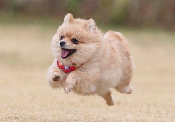 wellman_ruth's tweet photo. ふとカウンター越しに、外の雨が止んで青空が広がるのを見た瞬間、無性に絵を描きたくなった。コーヒー豆の香りに包まれながら、スケッチブックが待っている自分の部屋を思い浮かべている。どうしても自由になりたい時、ペンが私の心を解放してくれるんだよね。 https://t.co/2FYp4lnW7P