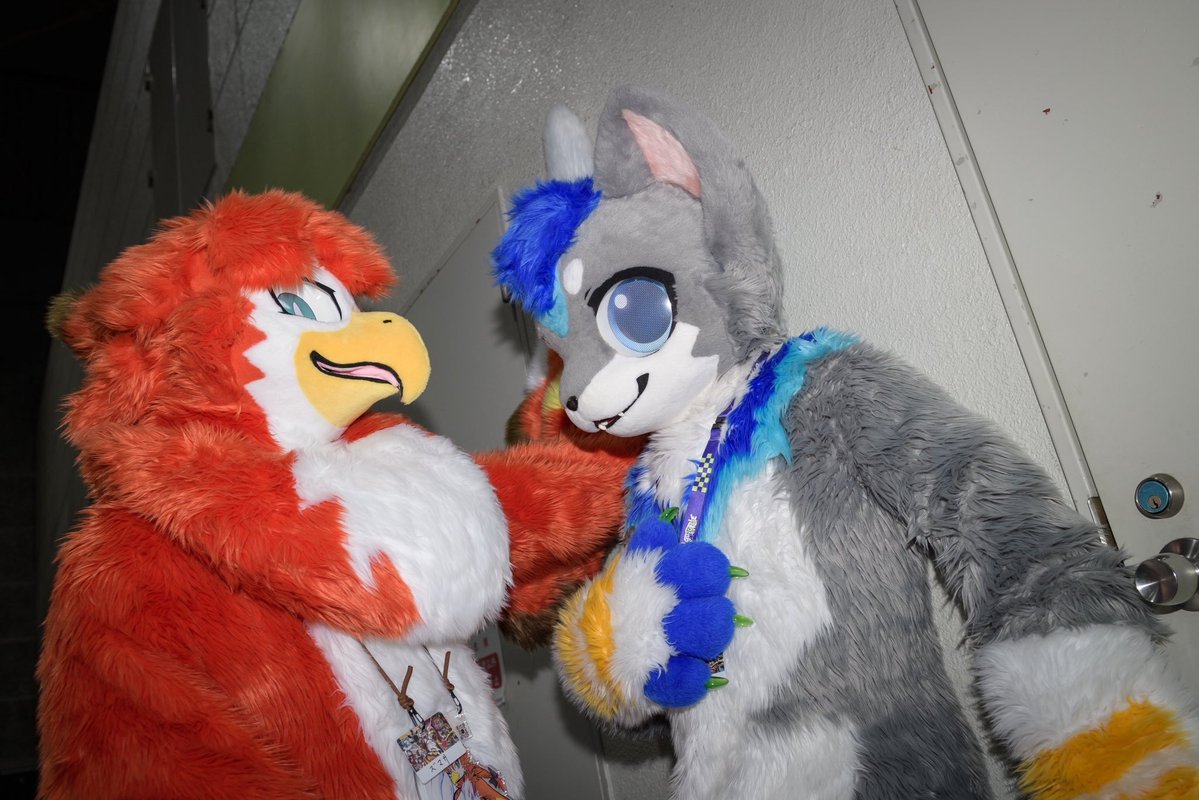 zumasa614's tweet photo. 🔴🦅:「何ぶつかっとんじゃワレ」
🛫🐺:「あっ…ﾊｲ…😭」

#OFFF2026 https://t.co/TuQsDtpHWu